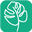 logo of Plantita MX
– PLANTITAMX